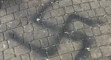 To 15-letni Ukrainiec namalował swastyki i napis Waffen SS na sokołowskim Bulwarze!