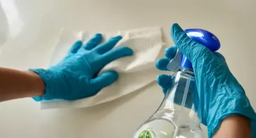 Jakie usługi DDD wybrać, aby skutecznie zabezpieczyć firmę przed szkodnikami?