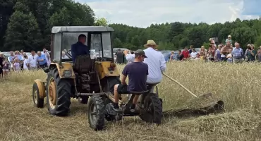 Już za tydzień Zażynki, czyli pokaz dawnych żniw w Dzierzbach Włościańskich