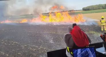 W upalny dzień walczyli z potężnym ogniem na polach w gminie Repki