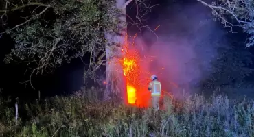 Nocna akcja strażaków. Drzewa zapaliły się po uderzeniu pioruna.